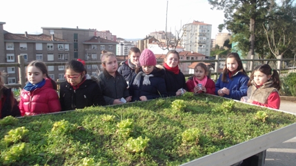Visita Los Viveros. 2º Primaria